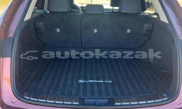 Buy Used Lexus NX Other Car in Georgiyev in Taraz Buy Used Lexus NX Other Car in Georgiyev in Taraz