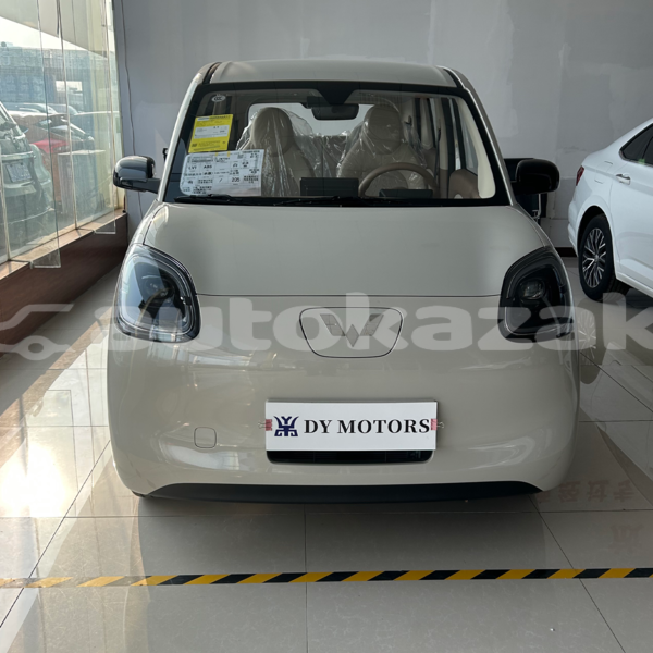 Big with watermark e car gd04b akmola astana 5469