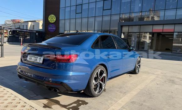 Buy Used Audi S5 Blue Car in Georgiyev in Taraz Buy Used Audi S5 Blue Car in Georgiyev in Taraz