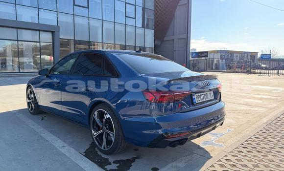 Buy Used Audi S5 Blue Car in Georgiyev in Taraz Buy Used Audi S5 Blue Car in Georgiyev in Taraz