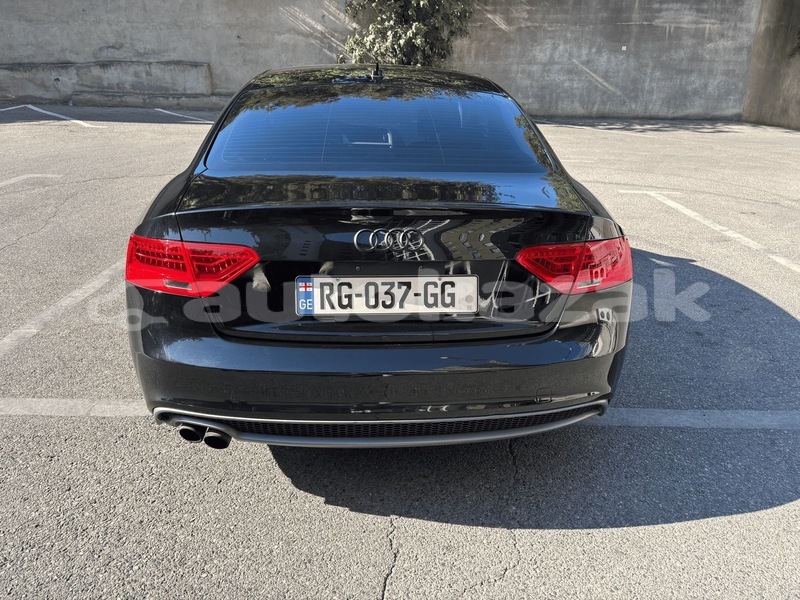 Big with watermark audi a5 taraz georgiyev 5498