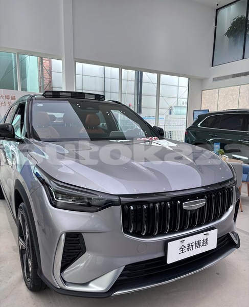 Big with watermark geely beauty leopard akmola aksu 5529