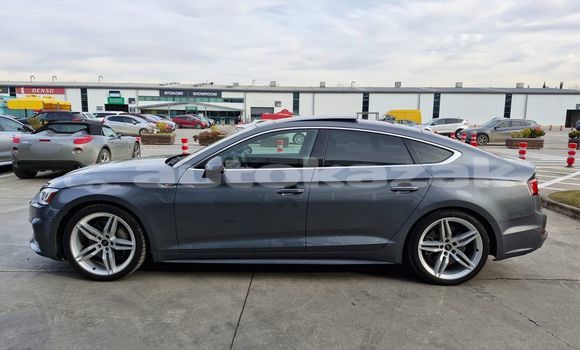 Buy Used Audi A5 Silver Car in Georgiyev in Taraz Buy Used Audi A5 Silver Car in Georgiyev in Taraz