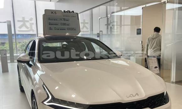 Buy New Kia K5 White Car in Astana in Akmola Buy New Kia K5 White Car in Astana in Akmola
