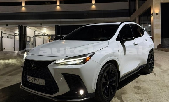 Buy Used Lexus NX White Car in Georgiyev in Taraz