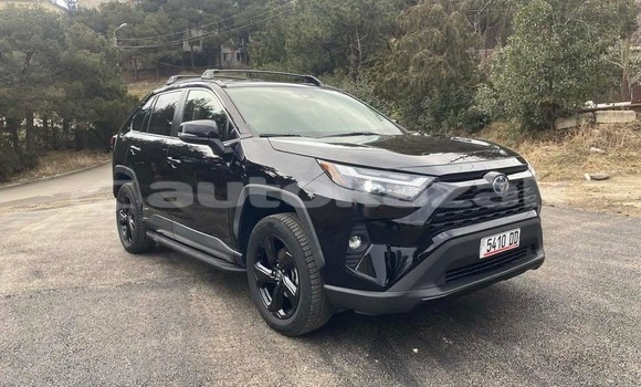 Buy Import Toyota RAV4 Black Car in Karaton in Atirau