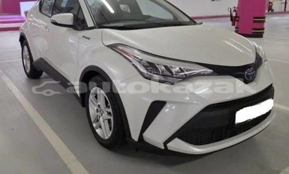 Buy Used Toyota C-HR White Car in Georgiyev in Taraz