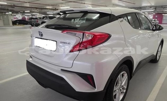 Buy Used Toyota C-HR White Car in Georgiyev in Taraz Buy Used Toyota C-HR White Car in Georgiyev in Taraz