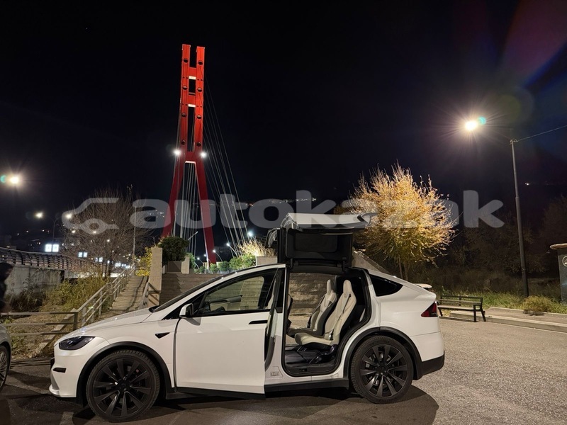 Big with watermark tesla model x taraz georgiyev 5739