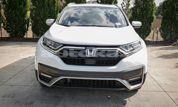 Buy Used Honda CR–V White Car in Aktau in Mankistau Buy Used Honda CR–V White Car in Aktau in Mankistau