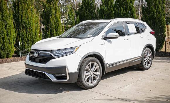 Buy Used Honda CR–V White Car in Aktau in Mankistau Buy Used Honda CR–V White Car in Aktau in Mankistau
