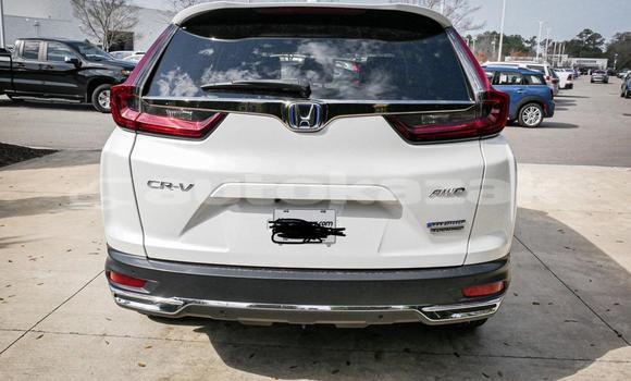 Buy Used Honda CR–V White Car in Aktau in Mankistau Buy Used Honda CR–V White Car in Aktau in Mankistau