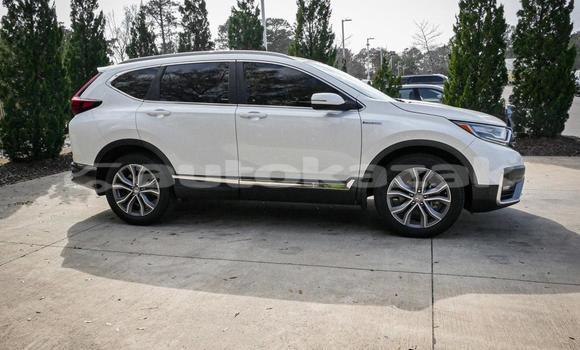 Buy Used Honda CR–V White Car in Aktau in Mankistau Buy Used Honda CR–V White Car in Aktau in Mankistau