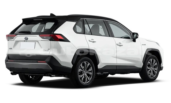 Buy New Toyota RAV4 White Car in Ertis in Pavlodar Buy New Toyota RAV4 White Car in Ertis in Pavlodar