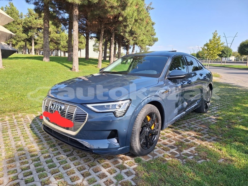 Big with watermark audi quattro taraz georgiyev 5758