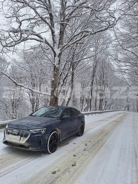 Big with watermark audi quattro taraz georgiyev 5758