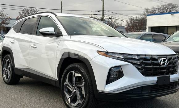 Buy Used Hyundai Tucson White Car in Aktau in Karagandi