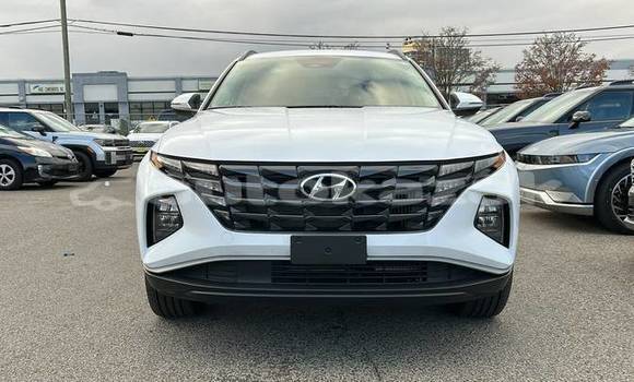 Buy Used Hyundai Tucson White Car in Aktau in Karagandi Buy Used Hyundai Tucson White Car in Aktau in Karagandi