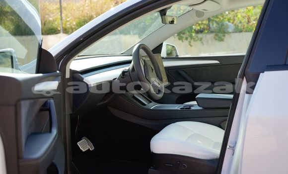 Buy Import Tesla Model 3 White Car in Kirov in Almati Buy Import Tesla Model 3 White Car in Kirov in Almati