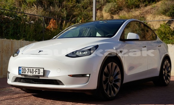 Buy Used Tesla Model X White Car in Georgiyev in Taraz