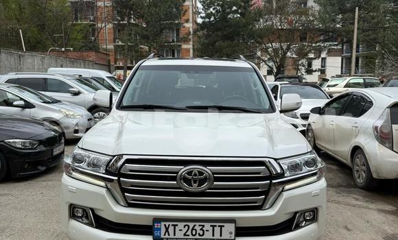 Buy Used Toyota Land Cruiser White Car in Georgiyev in Taraz