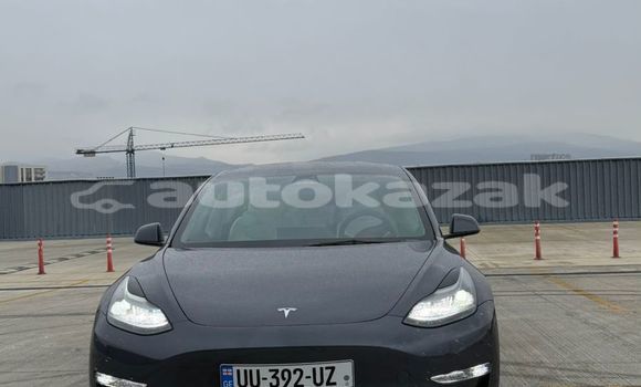 Buy Used Tesla Model 3 Silver Car in Georgiyev in Taraz