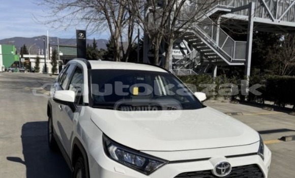 Buy Used Toyota RAV4 White Car in Georgiyev in Taraz