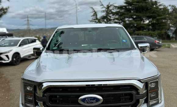 Buy Used Ford F–150 Silver Car in Georgiyev in Taraz