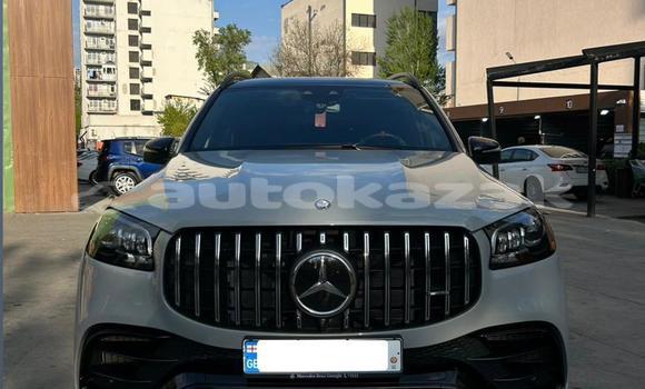 Buy Used Mercedes-Benz GLS-klasse AMG Silver Car in Georgiyev in Taraz
