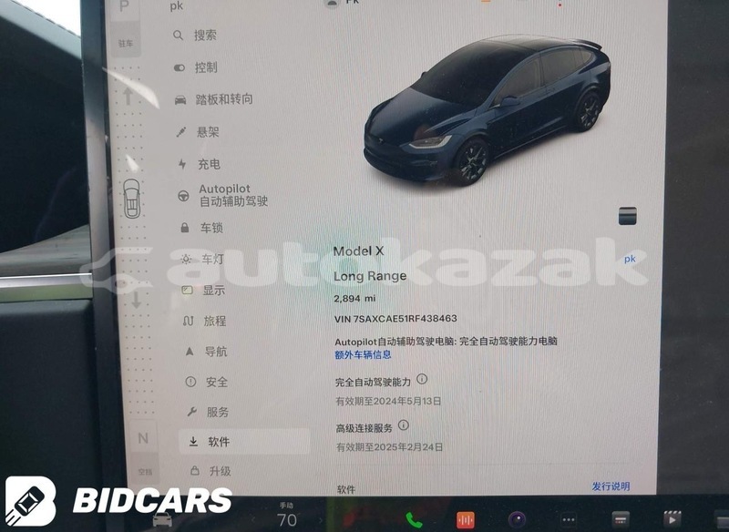 Big with watermark tesla model x taraz georgiyev 6010