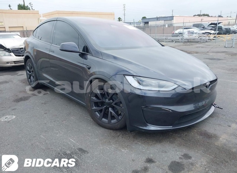 Big with watermark tesla model x taraz georgiyev 6010