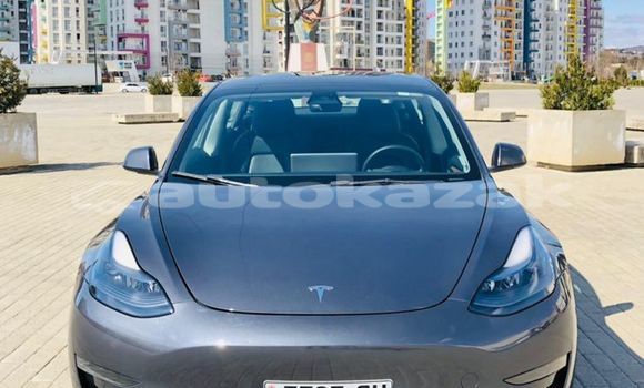 Buy Used Tesla Model 3 Silver Car in Georgiyev in Taraz Buy Used Tesla Model 3 Silver Car in Georgiyev in Taraz