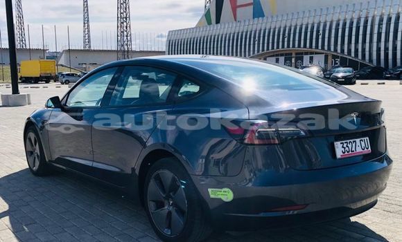 Buy Used Tesla Model 3 Silver Car in Georgiyev in Taraz Buy Used Tesla Model 3 Silver Car in Georgiyev in Taraz