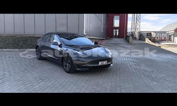 Buy Used Tesla Model 3 Silver Car in Georgiyev in Taraz Buy Used Tesla Model 3 Silver Car in Georgiyev in Taraz
