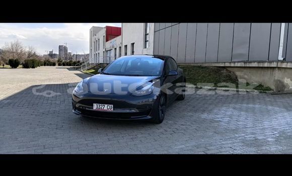 Buy Used Tesla Model 3 Silver Car in Georgiyev in Taraz Buy Used Tesla Model 3 Silver Car in Georgiyev in Taraz