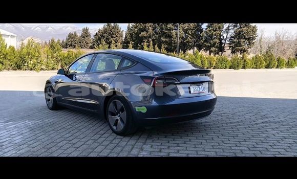 Buy Used Tesla Model 3 Silver Car in Georgiyev in Taraz Buy Used Tesla Model 3 Silver Car in Georgiyev in Taraz