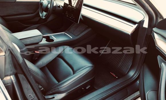 Buy Used Tesla Model 3 Silver Car in Georgiyev in Taraz Buy Used Tesla Model 3 Silver Car in Georgiyev in Taraz
