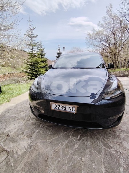 Big with watermark tesla model x taraz georgiyev 6023