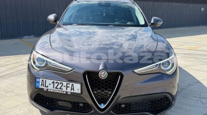 Big with watermark alfa romeo stelvio taraz georgiyev 6030