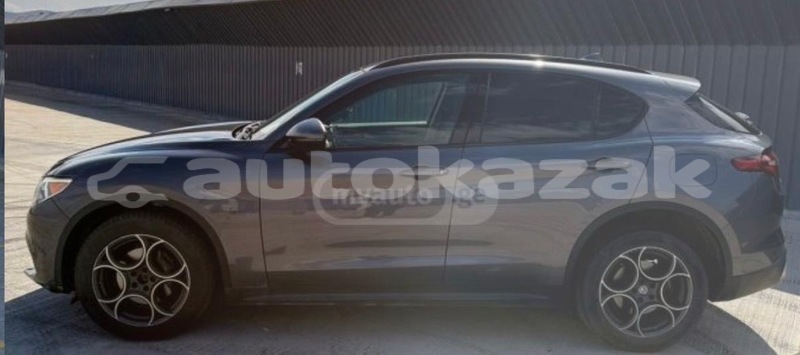 Big with watermark alfa romeo stelvio taraz georgiyev 6030