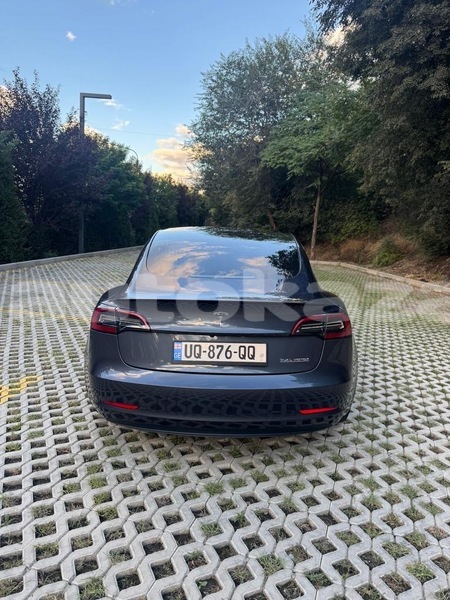 Big with watermark tesla model 3 taraz georgiyev 6064