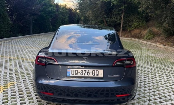 Buy Used Tesla Model 3 Black Car in Georgiyev in Taraz Buy Used Tesla Model 3 Black Car in Georgiyev in Taraz