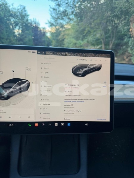 Big with watermark tesla model 3 taraz georgiyev 6064