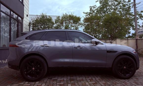 Buy Used Jaguar F-Pace Silver Car in Georgiyev in Taraz Buy Used Jaguar F-Pace Silver Car in Georgiyev in Taraz