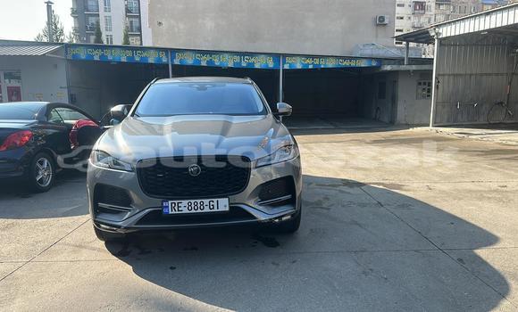 Buy Used Jaguar F-Pace Silver Car in Georgiyev in Taraz Buy Used Jaguar F-Pace Silver Car in Georgiyev in Taraz