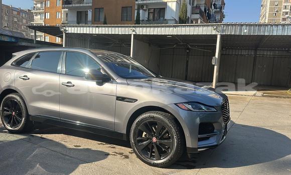 Buy Used Jaguar F-Pace Silver Car in Georgiyev in Taraz Buy Used Jaguar F-Pace Silver Car in Georgiyev in Taraz