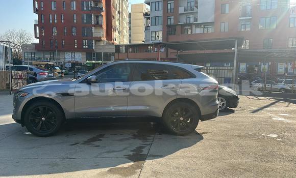 Buy Used Jaguar F-Pace Silver Car in Georgiyev in Taraz Buy Used Jaguar F-Pace Silver Car in Georgiyev in Taraz