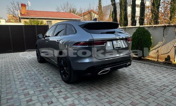 Buy Used Jaguar F-Pace Silver Car in Georgiyev in Taraz Buy Used Jaguar F-Pace Silver Car in Georgiyev in Taraz