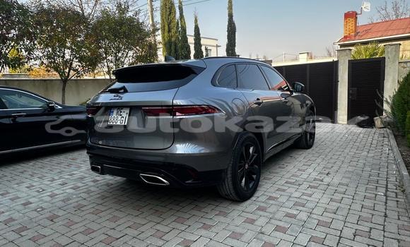 Buy Used Jaguar F-Pace Silver Car in Georgiyev in Taraz Buy Used Jaguar F-Pace Silver Car in Georgiyev in Taraz