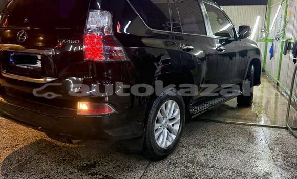 Buy Used Lexus GX Black Car in Georgiyev in Taraz Buy Used Lexus GX Black Car in Georgiyev in Taraz